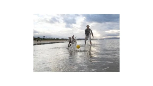 Waboba Pet Fetch Ball foto 4