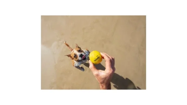Waboba Pet Fetch Ball foto 8